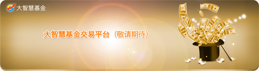 大智慧基金交易平台（敬请期待）